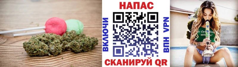 Canna-Cookies марихуана  Елизаветинская 
