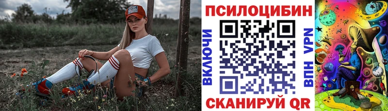 Псилоцибиновые грибы MAGIC MUSHROOMS  Елизаветинская 