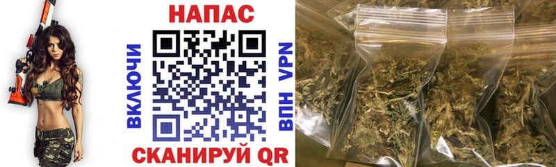 Бошки марихуана Amnesia Елизаветинская